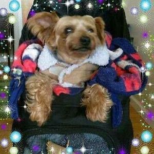 Meet your Posher, Lee